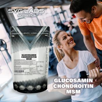 Glucosamin Chondroitin MSM - 500 Tabletten